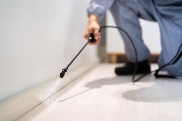 Bed Bug Pre-Treatment Preparation Assessment in Cockeysville
