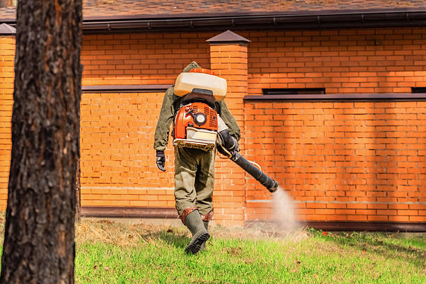 Bed Bug Clearance Verification and Documentation in Cockeysville